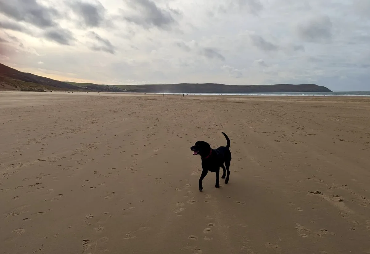 Wishing a Happy New Year to my Imgur family from North Devon, UK!
