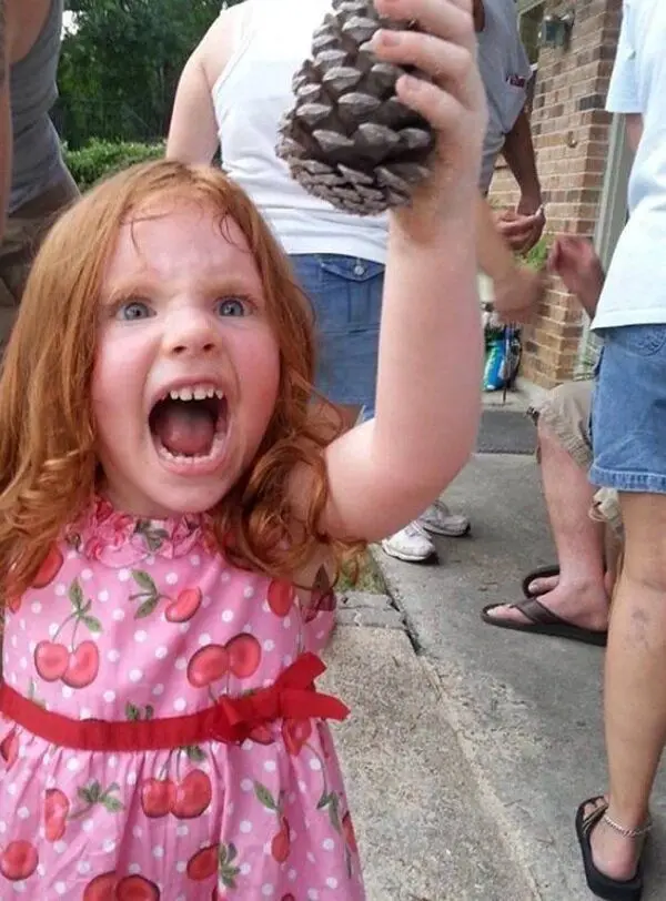 We are the mighty Pinecone!