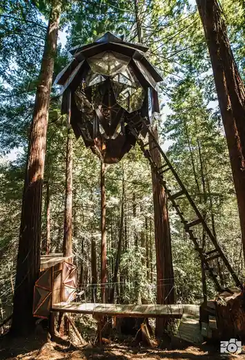Is this a pinecone treehouse?