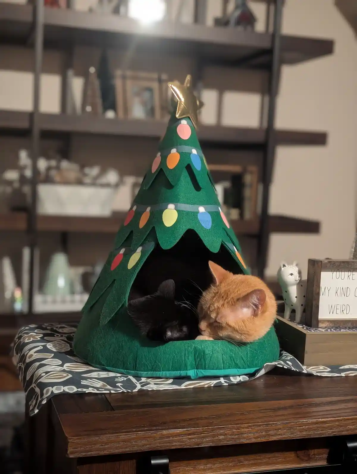 Two cats, one black and one orange, are curled up sleeping inside a green, cone-shaped pet bed designed to look like a…