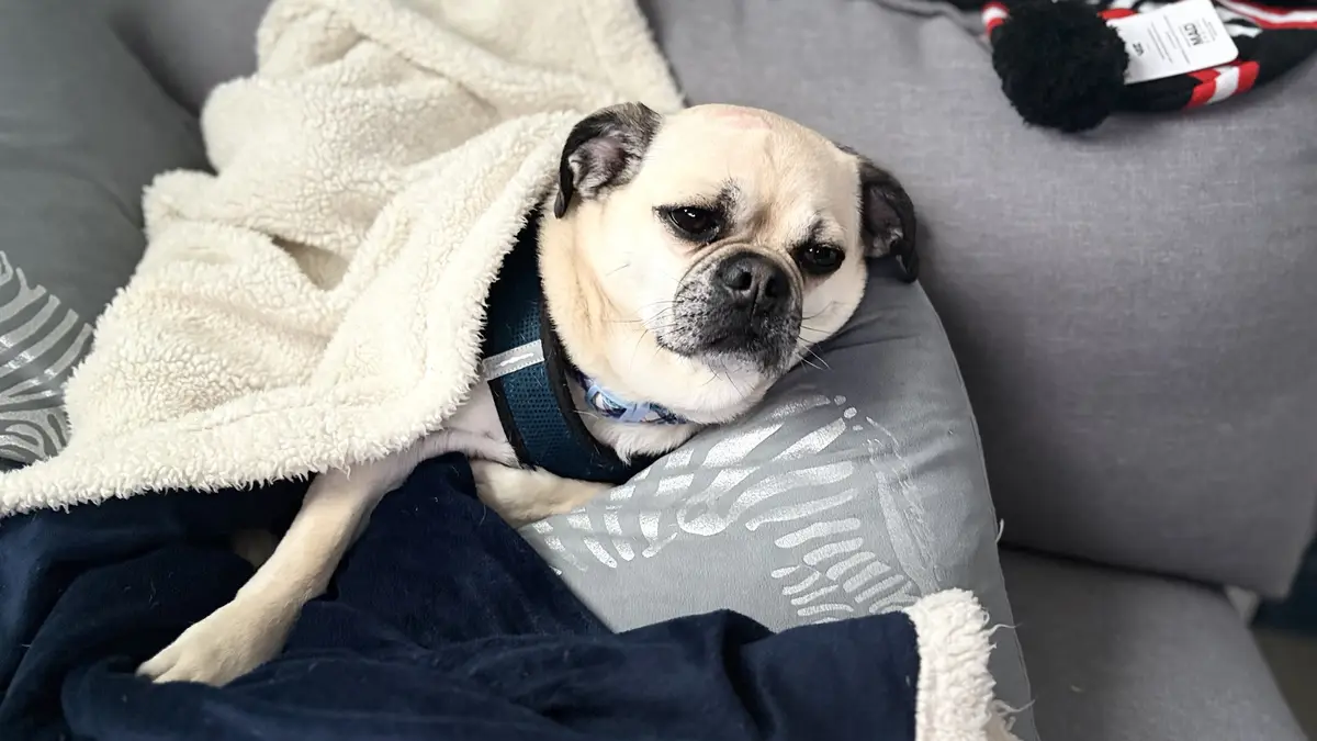 Lazy Chug: The Ultimate Chill Vibe