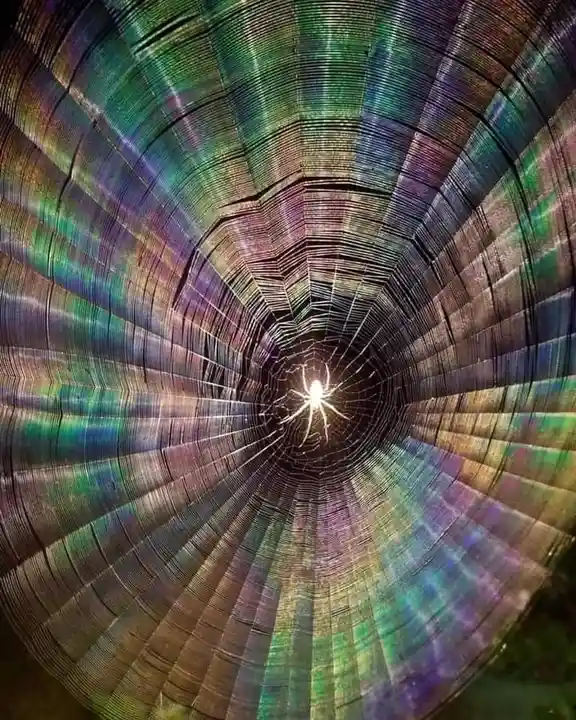 Trippin' Through Life's Unexpected Adventures