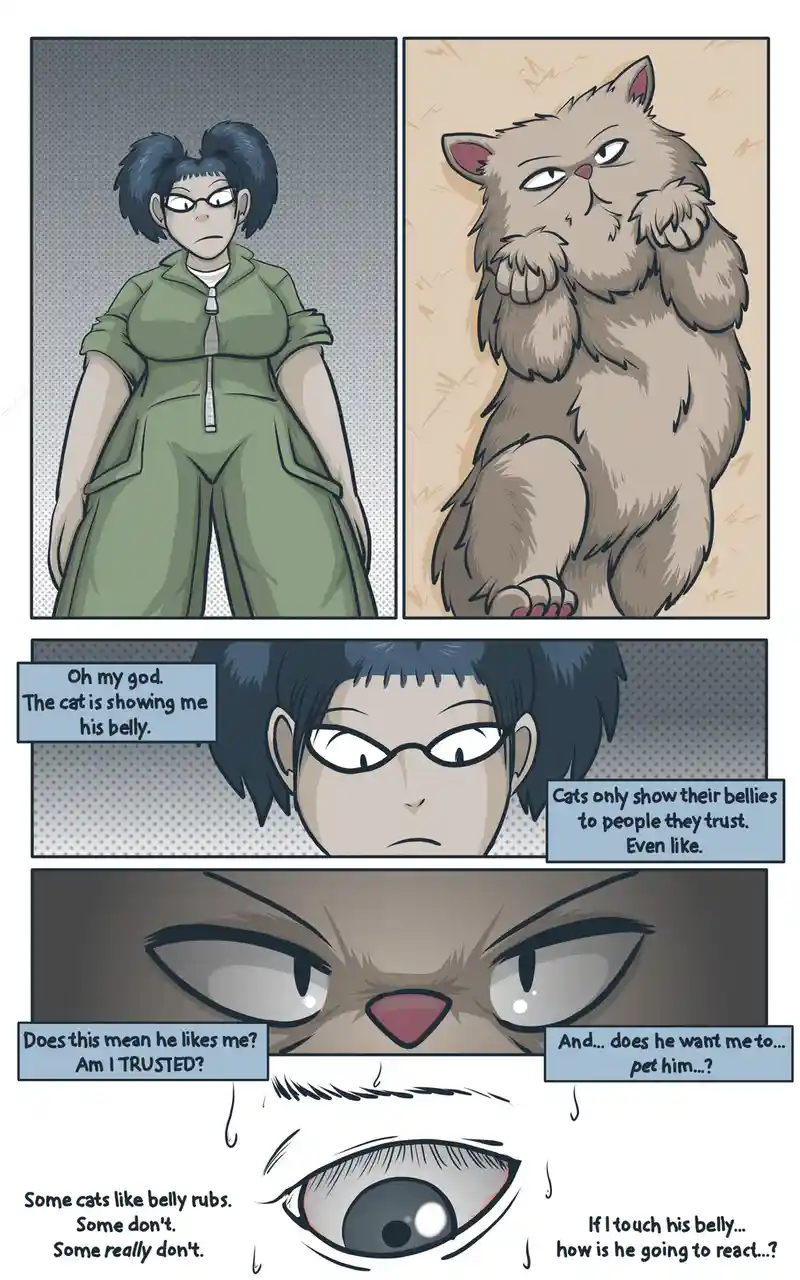 A comic strip shows a woman in a green jumpsuit reacting with shock and confusion to a fluffy cat showing its belly. The…