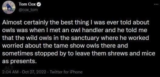 A screenshot of a tweet by Tom Cox showing a black background with white text. The text is a humorous anecdote about wild…
