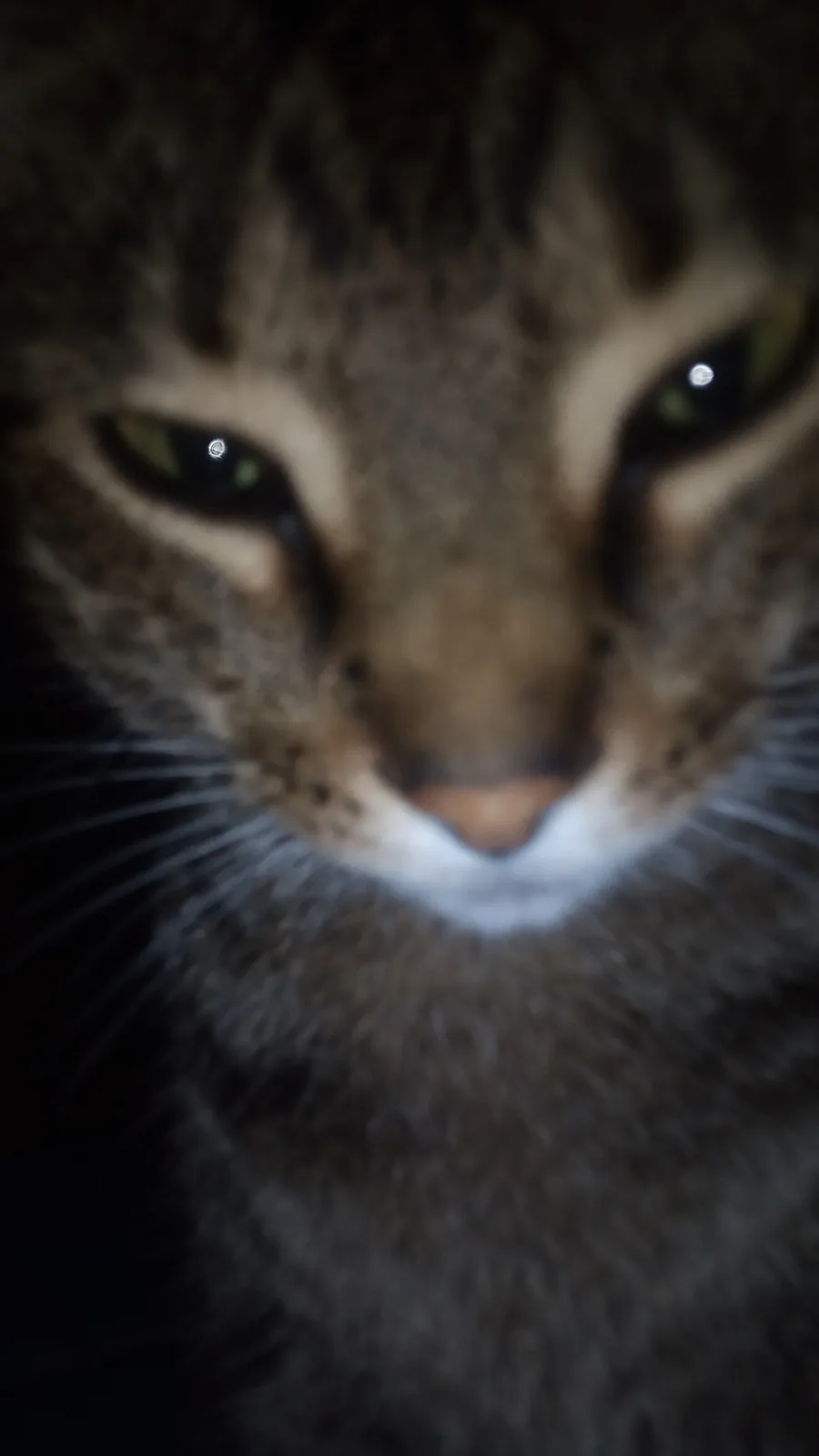 Hey, Are You Still Up and About?