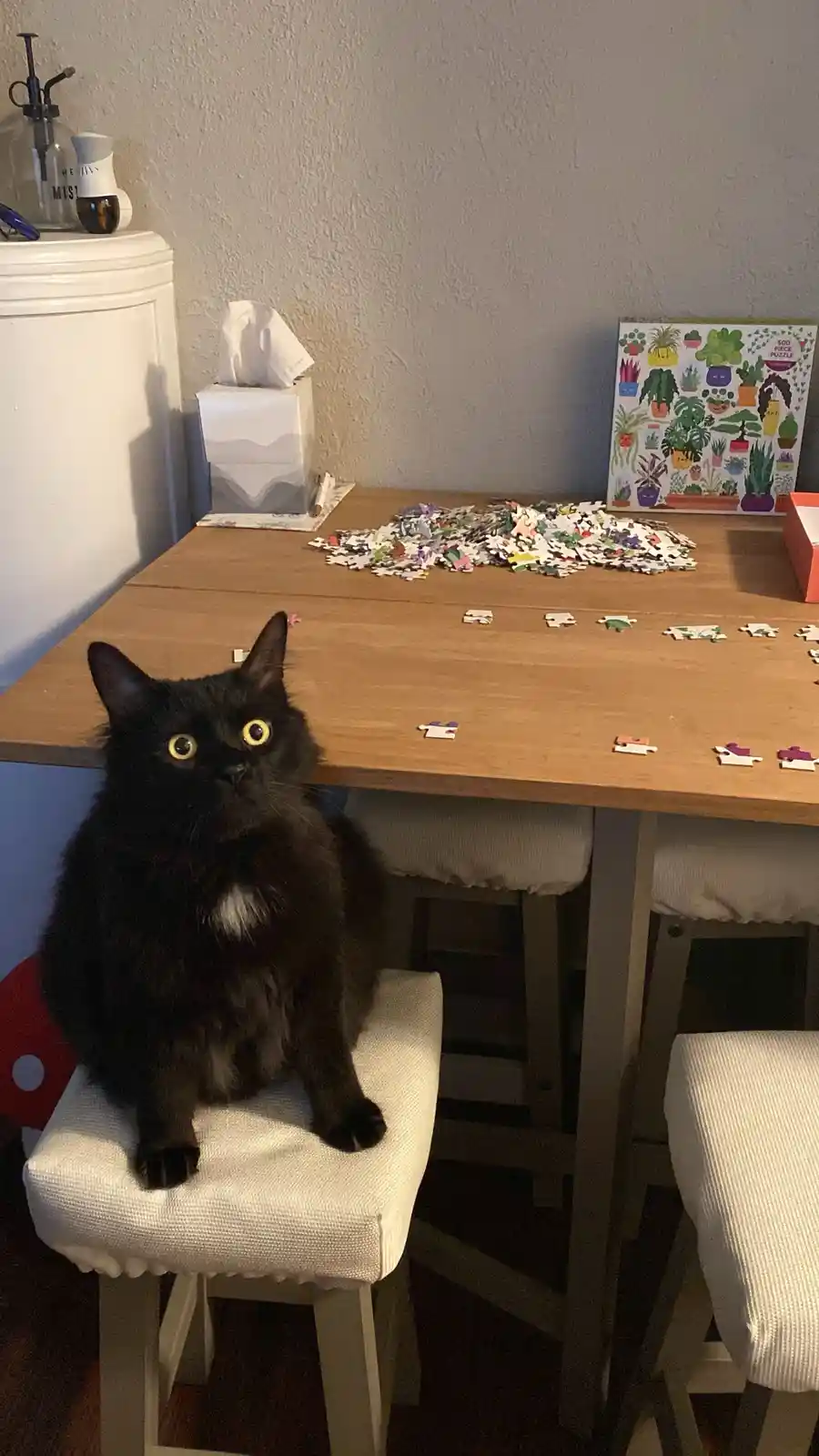 This behavior is truly puzzling!