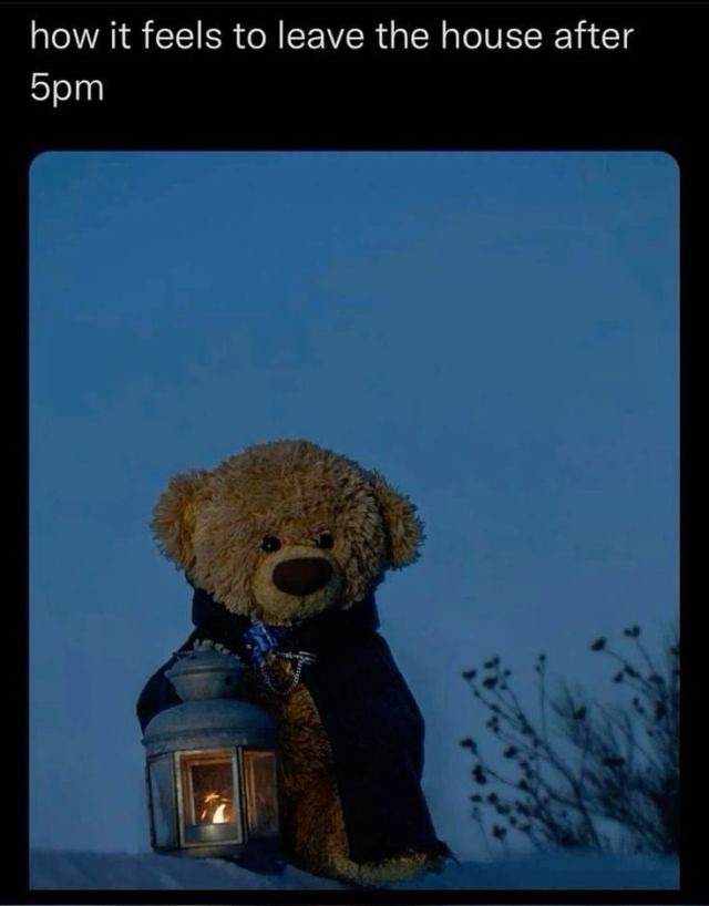 A teddy bear wearing a dark cloak sits in a snowy landscape under a twilight sky, holding a lit lantern. The overlaid text…