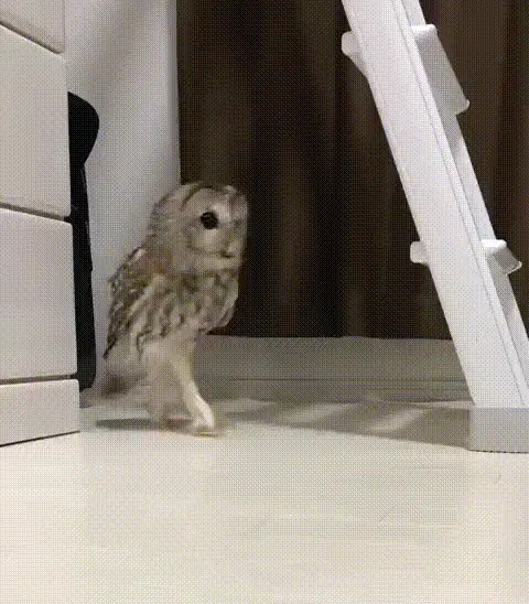 Sneaking Past My 10-Year Cake Day Celebration