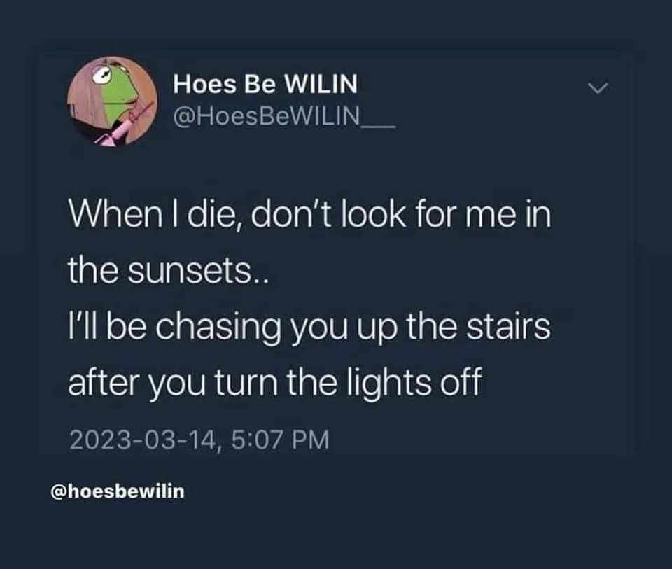 A screenshot of a tweet from the account 'Hoes Be WILIN' with a Kermit the Frog profile picture. The tweet reads: 'When I…