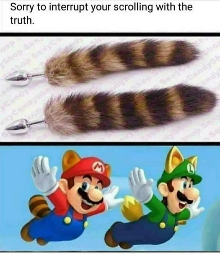 The image is split into two panels. The top panel shows two raccoon-tail-shaped fursuits with metal balls attached…