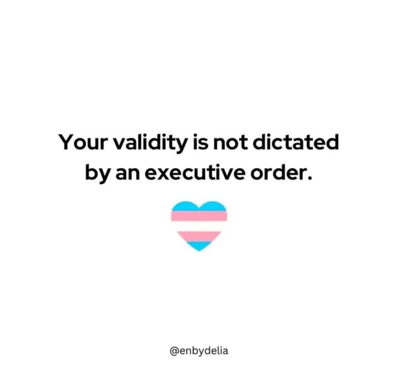 A white background image displays the text 'Your validity is not dictated by an executive order.' in bold black font…