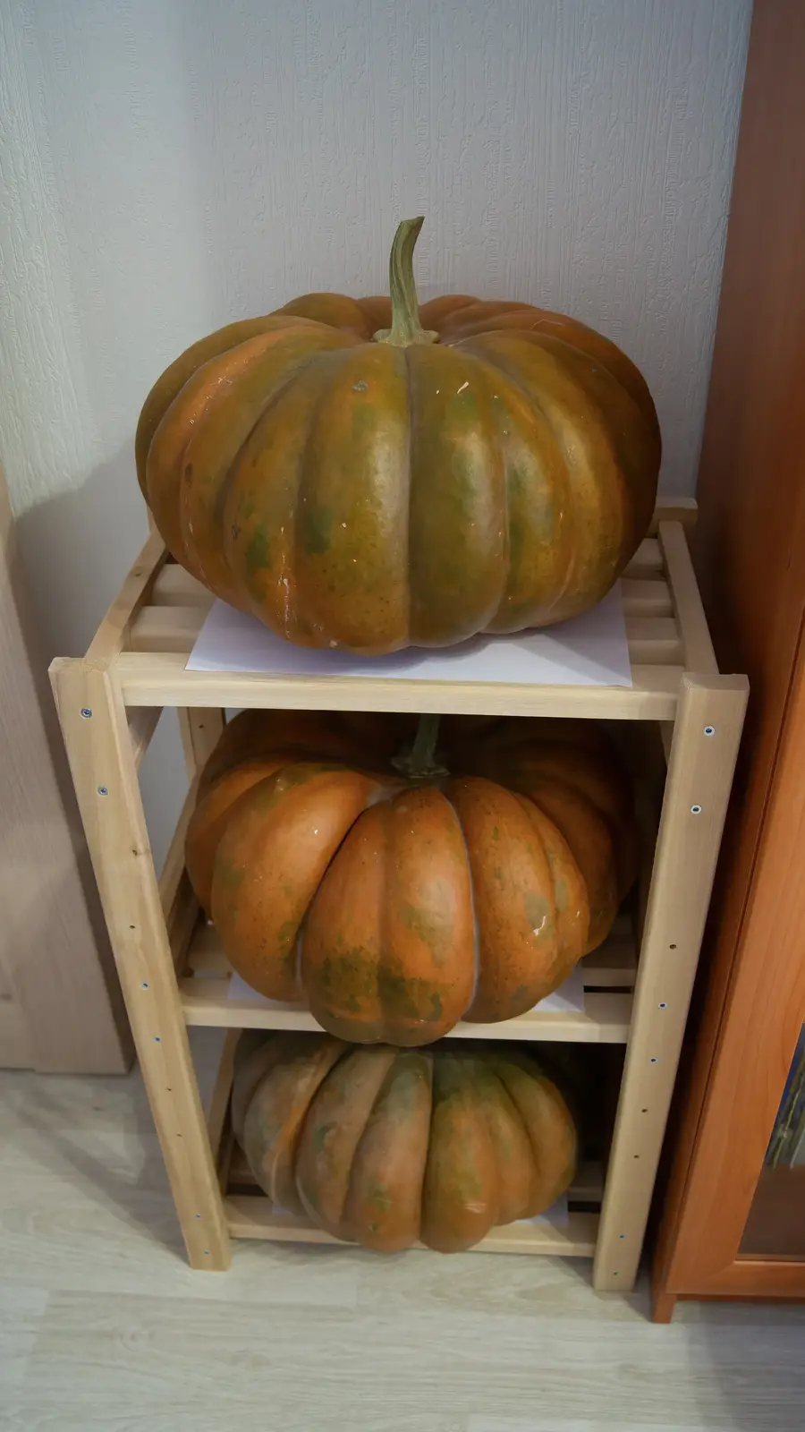 Three large, orange pumpkins with greenish patches are stacked vertically on a light wooden three-tiered shelf. The top…