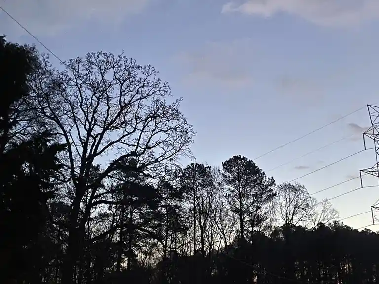 A photo of silhouetted trees against a twilight sky with power lines and a transmission tower visible. Overlaid text reads…