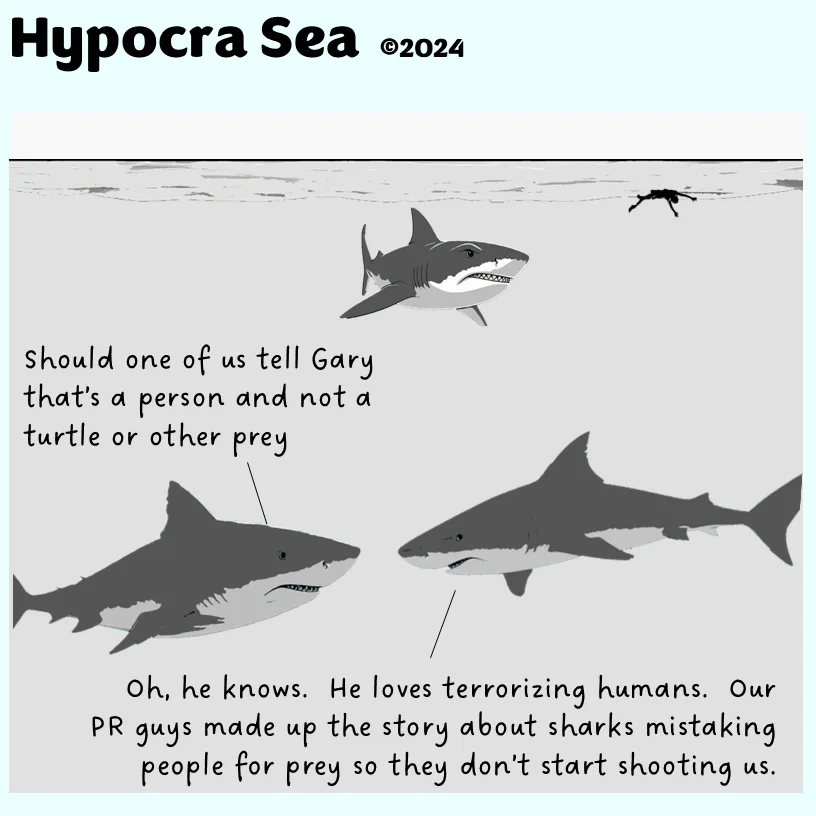 A black-and-white cartoon depicts three sharks underwater, one looking at a human swimmer above the surface. Two sharks are…