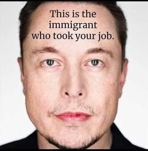 A close-up photo of Elon Musk with a neutral expression, overlaid with the text 'This is the immigrant who took your job.'…