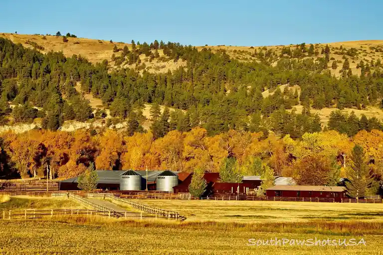 Exploring the Wonders of Montana