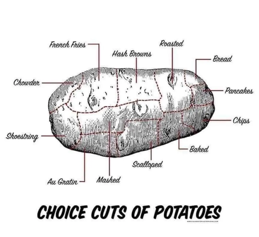 A black-and-white anatomical-style illustration of a single potato, divided into sections with red dashed lines, each…