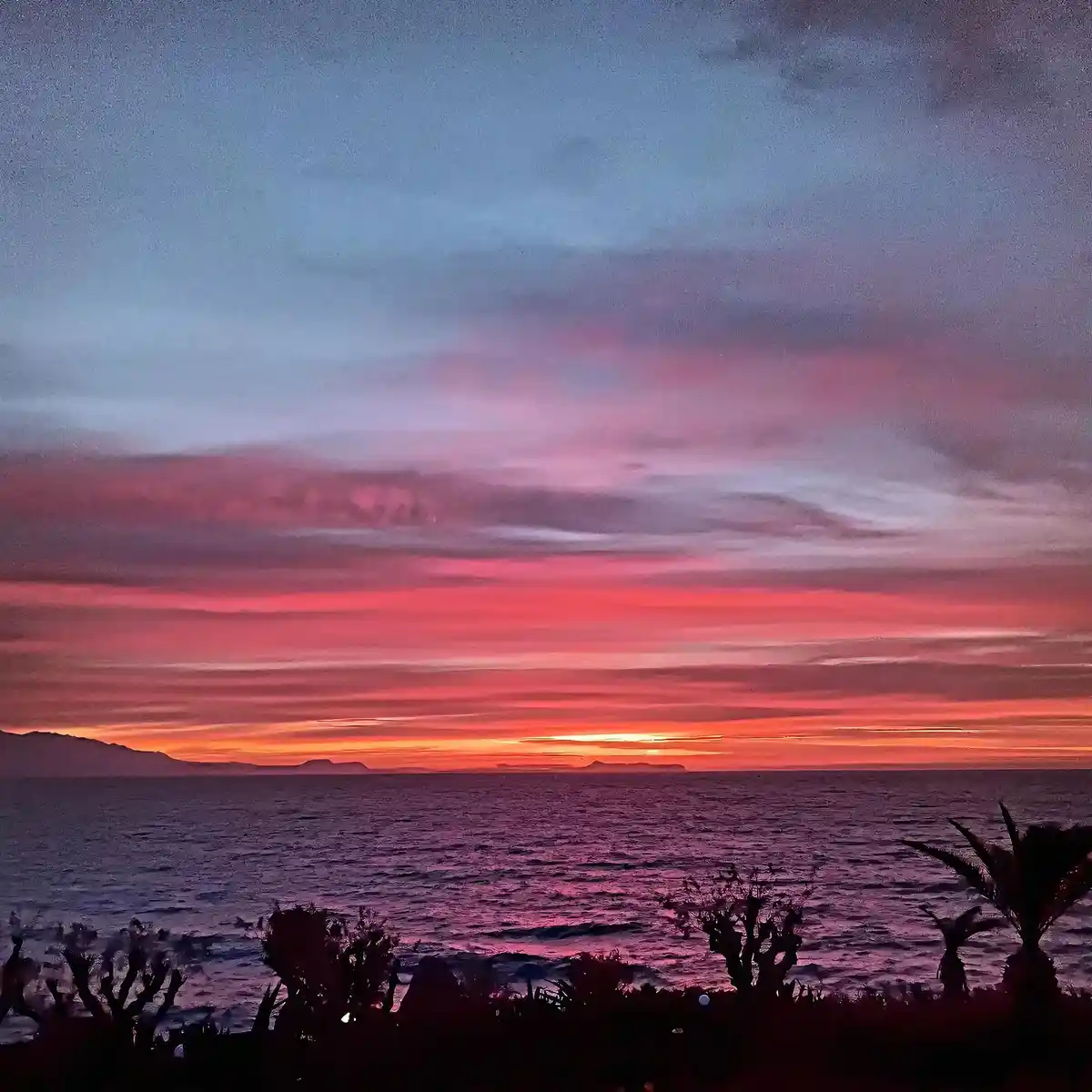 A vibrant sunset over the ocean with pink, orange, and purple clouds, silhouetted coastal vegetation in the foreground, and…