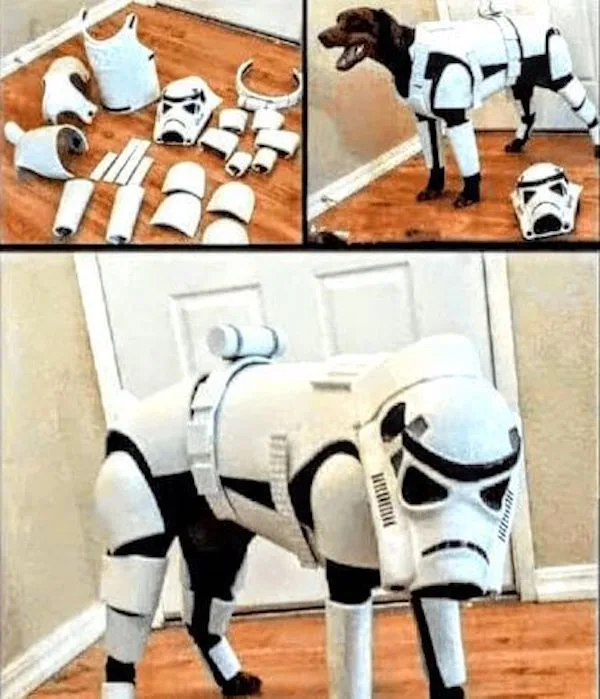 A three-panel image shows a dog being dressed in a Stormtrooper costume. The top-left panel displays the costume pieces laid…