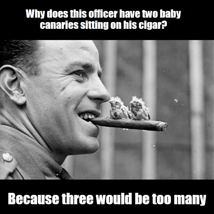 A black-and-white photo shows a smiling man in a military uniform with a cigar in his mouth. Two small, fluffy baby canaries…
