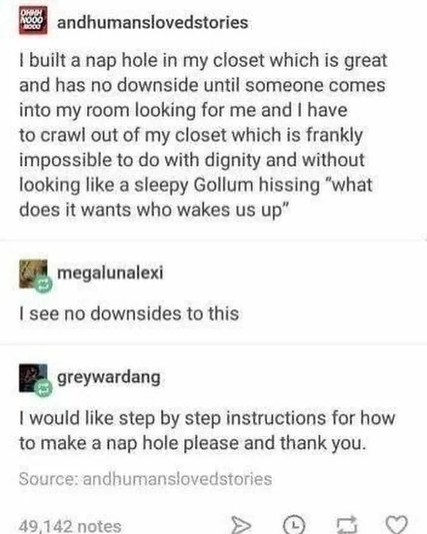 A screenshot of a Tumblr post from 'andhumanslovedstories' showing a user describing a nap hole in their closet and the…