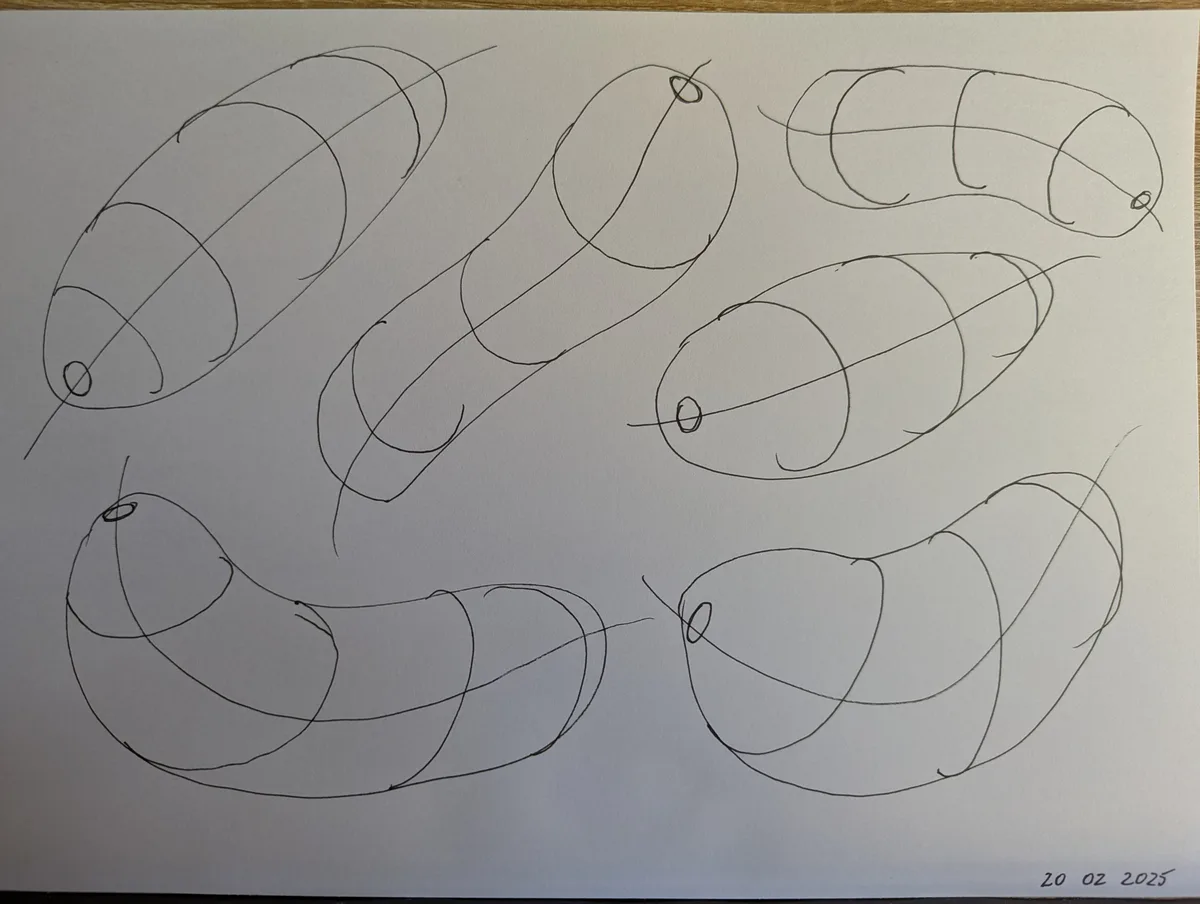 A hand-drawn sketch on white paper shows six abstract, elongated, curved shapes resembling shrimp or worms, each with a…