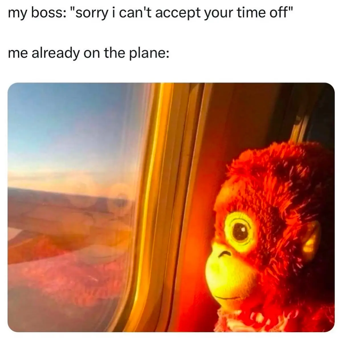 A red, fluffy stuffed monkey toy with a sad, downturned mouth is shown looking out of an airplane window at a sunset or…