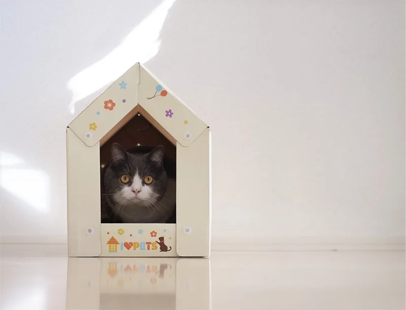 A gray and white cat with large yellow eyes peers out from a small, house-shaped cardboard pet bed decorated with colorful…