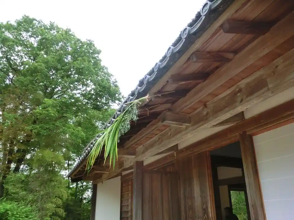 A Glimpse into May 2015 in Boso Village, Chiba Prefecture