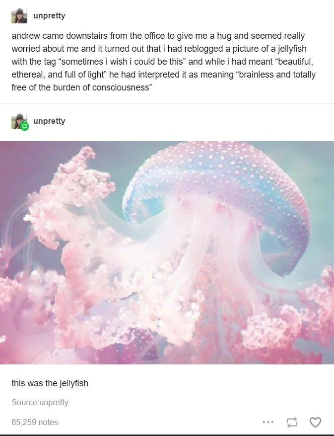A photo of a pink and blue jellyfish with translucent tentacles and a dotted bell, overlaid with text describing a…
