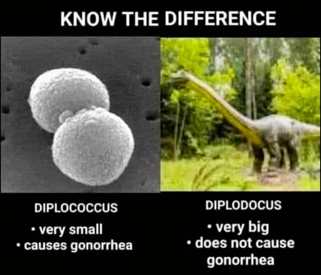 The image is split into two panels under the heading 'KNOW THE DIFFERENCE'. The left panel shows a microscopic image of two…