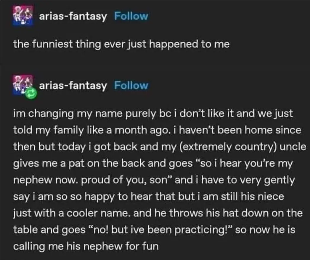 A screenshot of a social media post from 'arias-fantasy' detailing a humorous family story. The user explains they changed…
