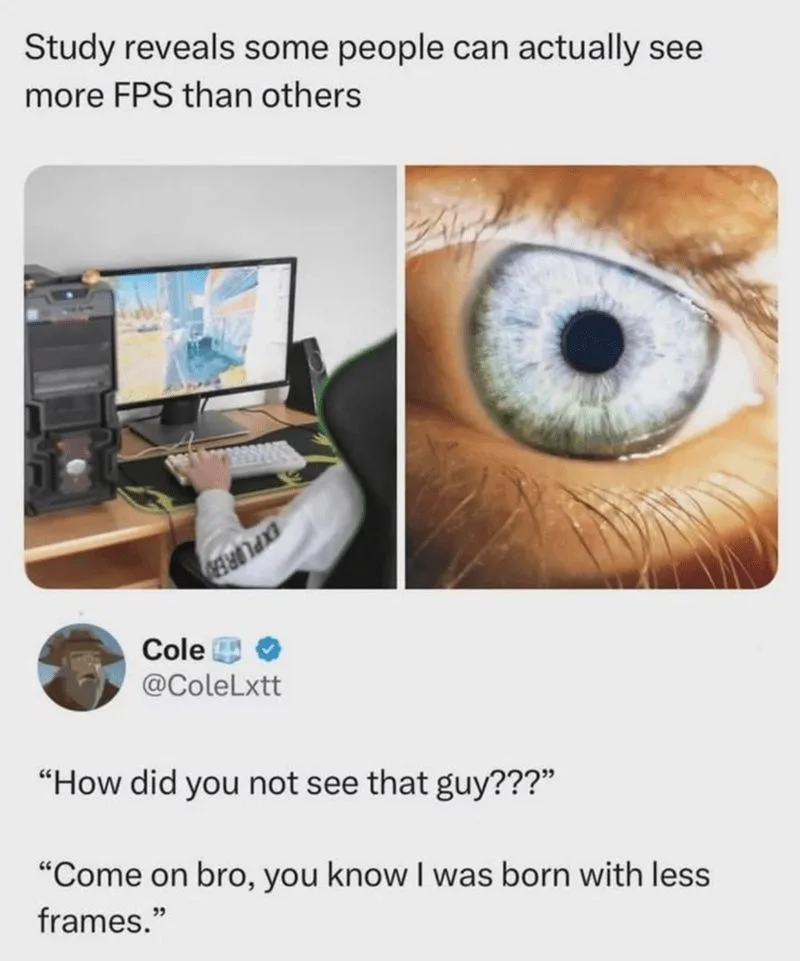 The image is a split-screen meme. The left panel shows a person playing a video game on a computer, with the monitor…
