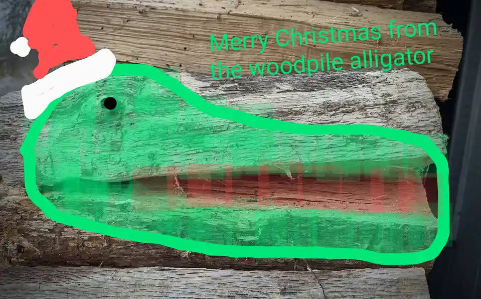 A stack of weathered firewood logs has a green outline drawn around one log, making it look like an alligator. A red and…