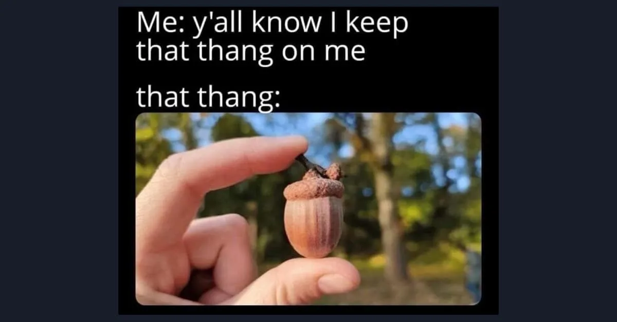 A hand holds a small acorn between thumb and forefinger against a blurred outdoor background. White text above reads 'Me…