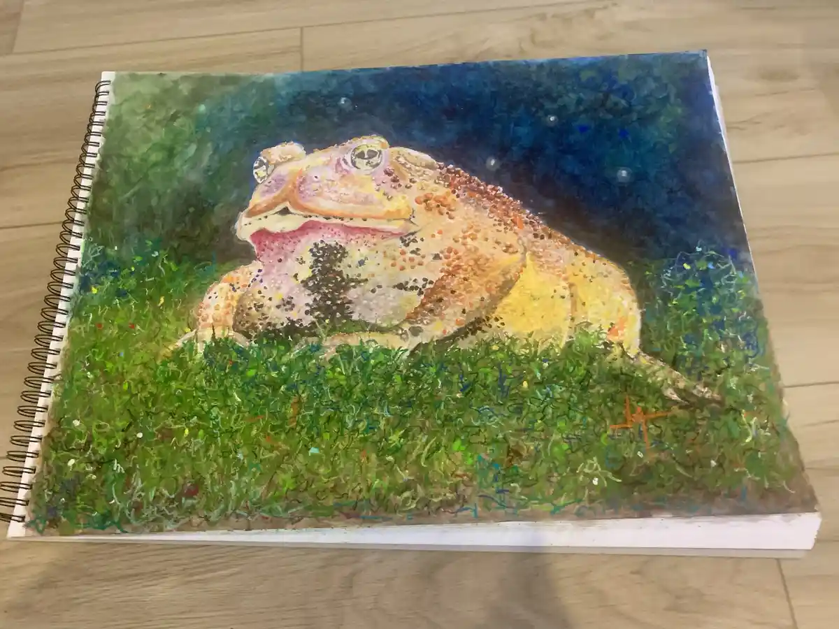 A colorful, textured painting of a large frog sitting in grass under a starry night sky, rendered in a sketchbook on a…