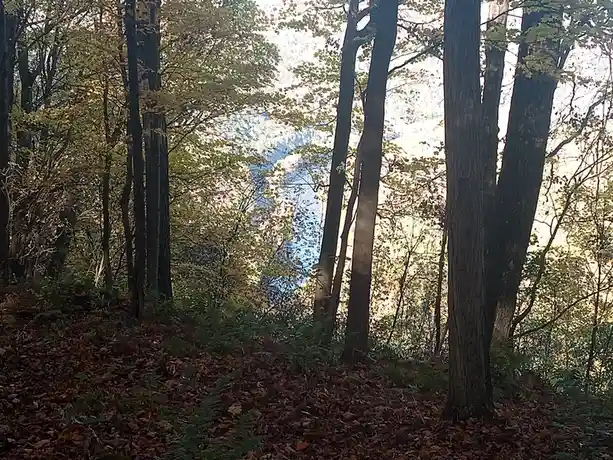 Ohiopyle State Park Adventure: Mark Your Calendar for October 19, 2024!