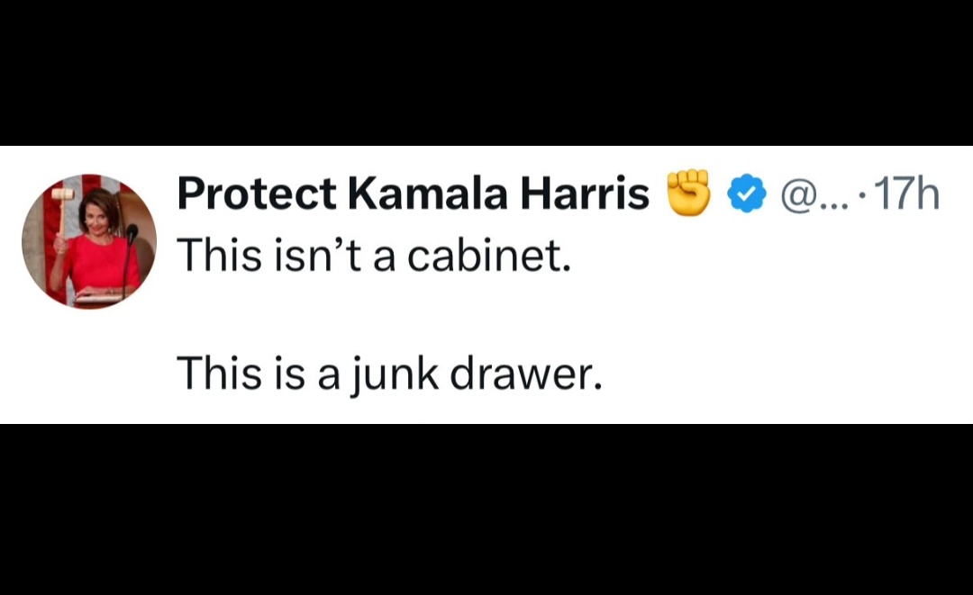 A screenshot of a tweet from a verified account named 'Protect Kamala Harris' featuring a profile picture of Kamala Harris…