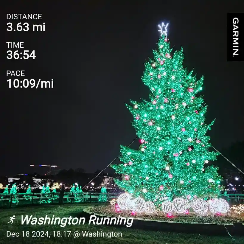 A nighttime photo of a large, brightly lit Christmas tree with green lights and pink ornaments, surrounded by smaller trees…