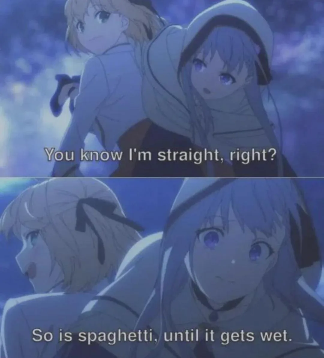 Two anime girls are shown in a two-panel image. In the top panel, one girl asks, 'You know I'm straight, right?' The bottom…