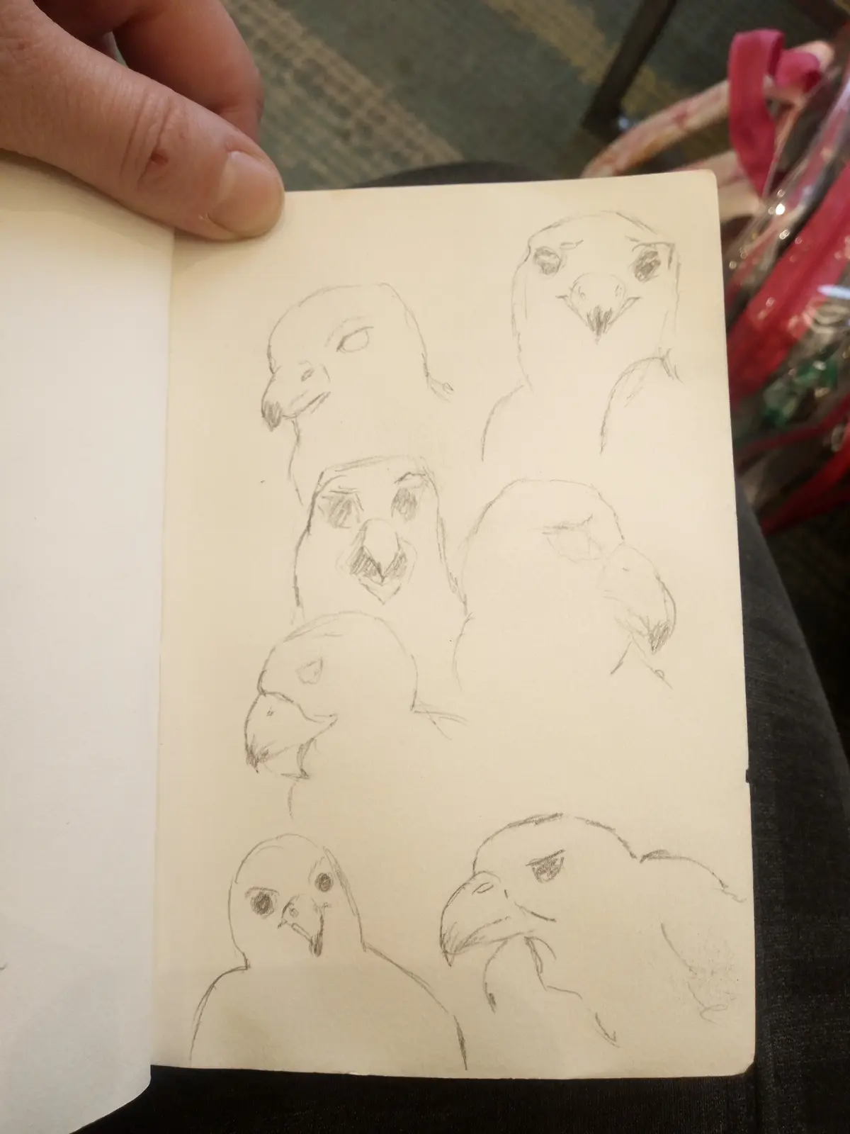 A hand holds open a sketchbook displaying seven pencil drawings of bird heads, each with a different expression ranging from…