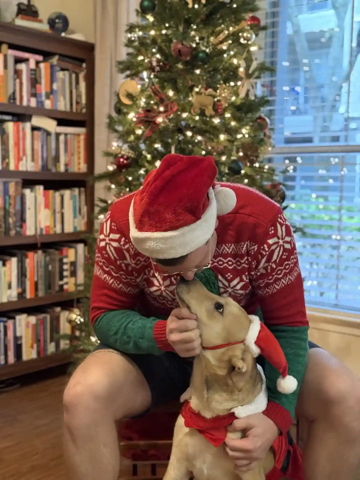 A person wearing a red Santa hat and a red-and-white patterned sweater kneels in front of a decorated Christmas tree…