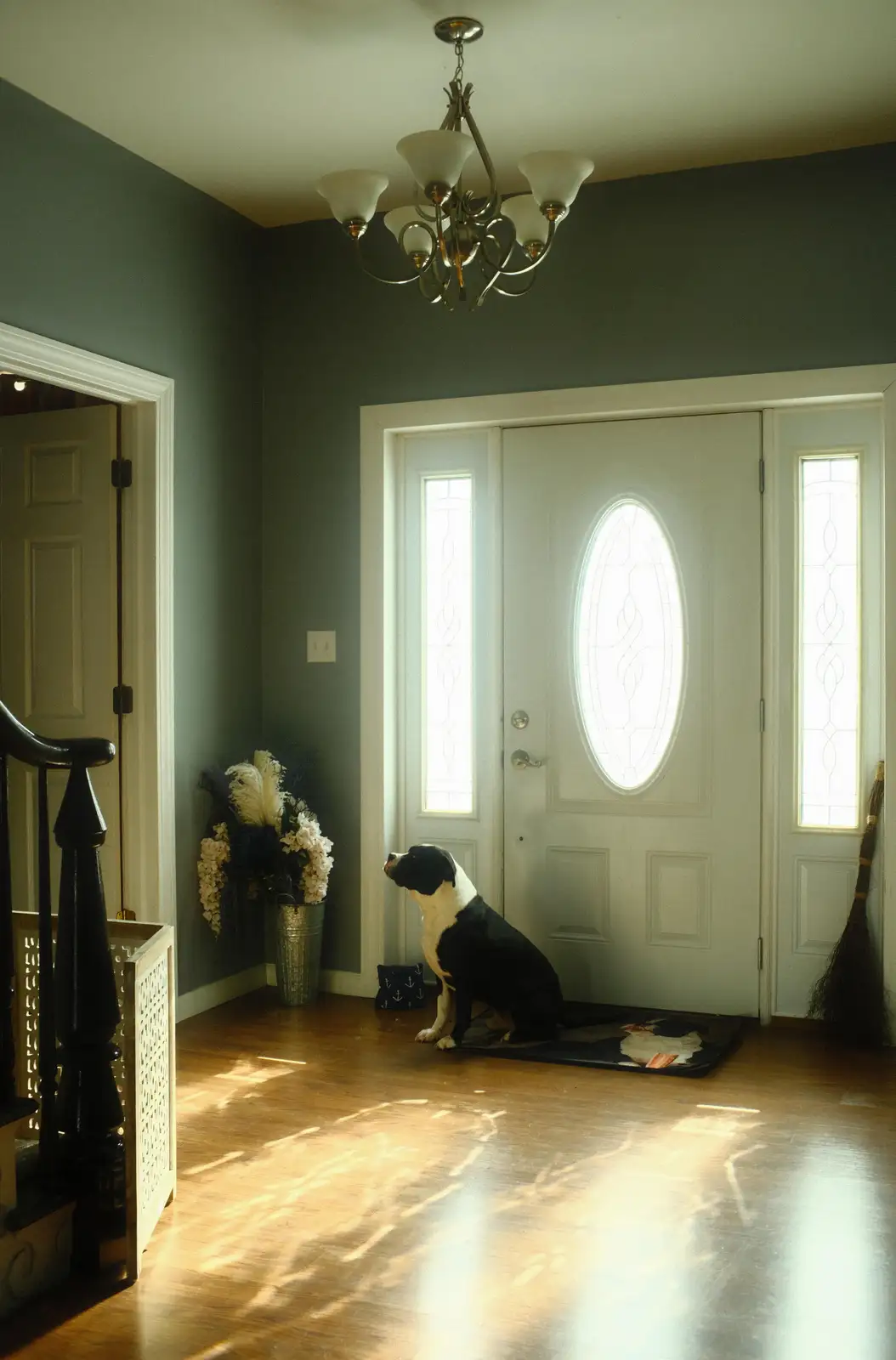A black and white dog sits patiently on a doormat in a sunlit entryway, looking expectantly at a white front door with glass…