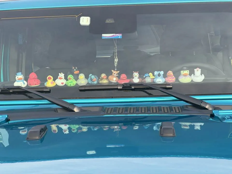 A row of colorful, decorated rubber ducks sits on the dashboard of a blue car, visible through the windshield. The ducks…