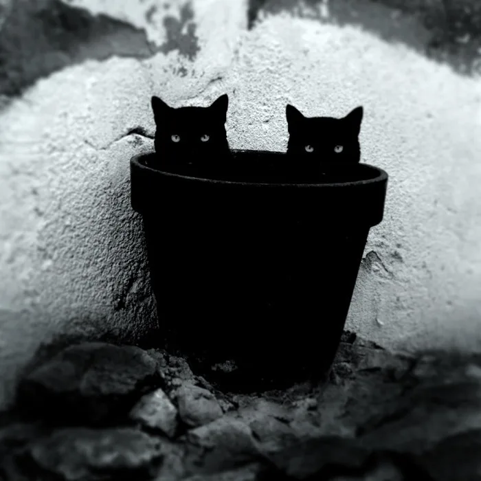The twin voids of existence!