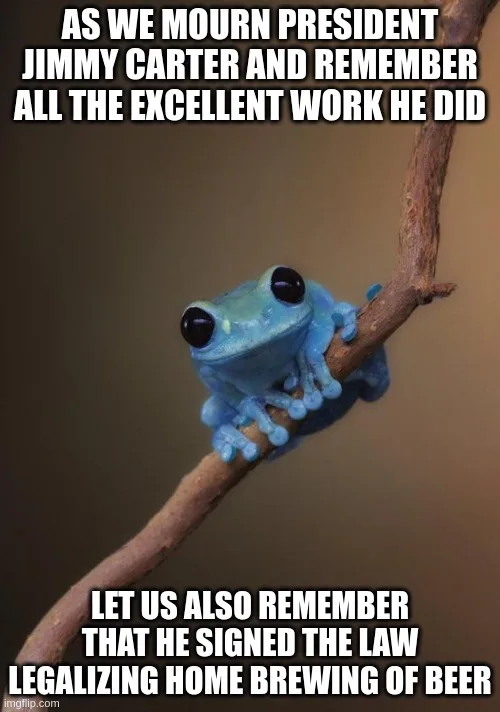 A small, bright blue tree frog with large black eyes is perched on a brown tree branch against a blurred brown background…