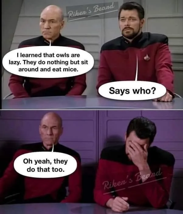 Two panels from Star Trek: The Next Generation show characters Picard and Riker at a table. In the top panel, Picard says…