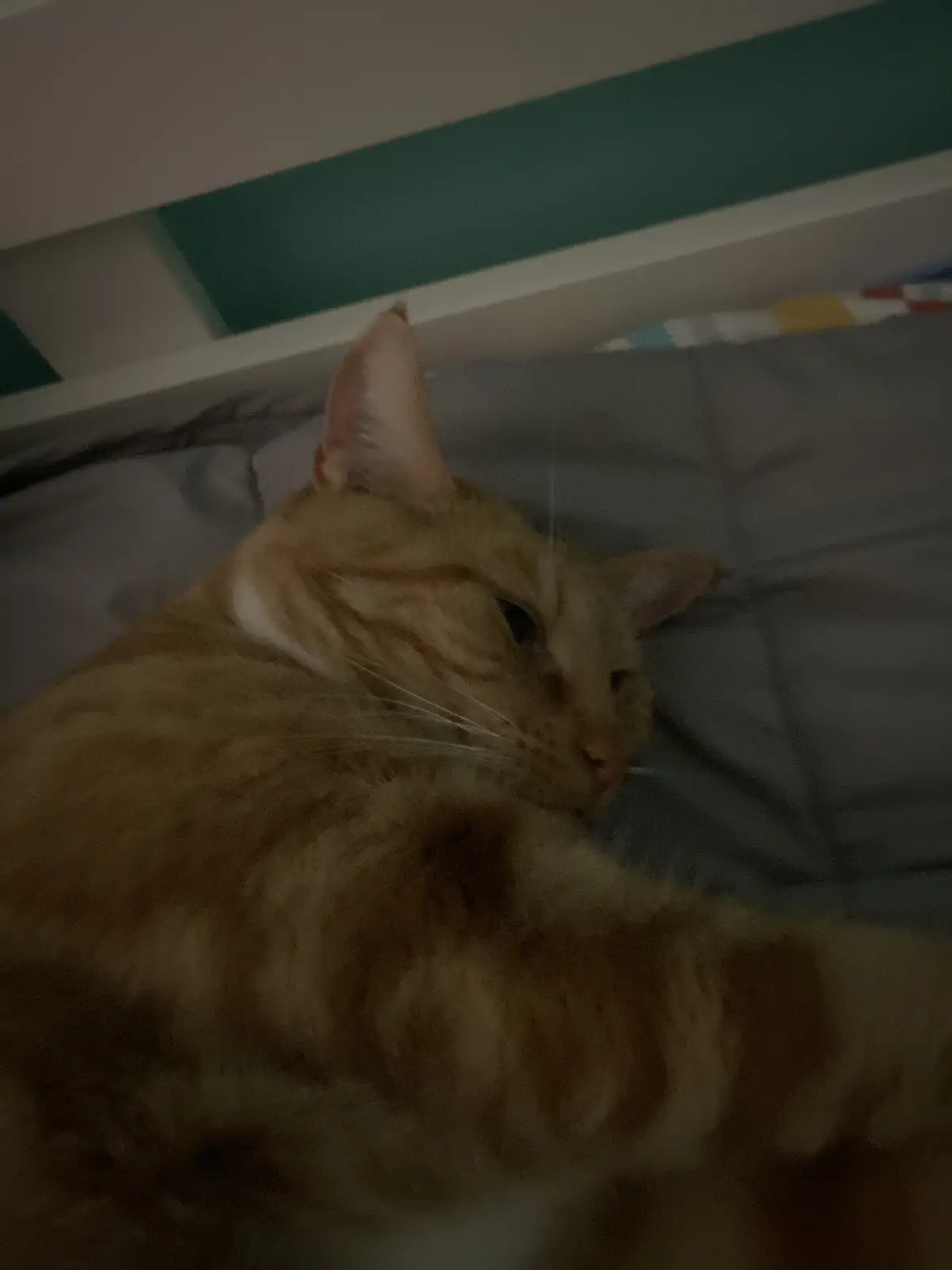 Biscuit's Daily Dose of Cuteness
