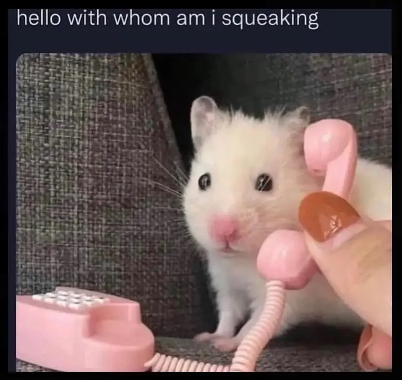 A small white hamster with dark eyes and a pink nose is holding a pink toy telephone receiver to its ear, looking directly…