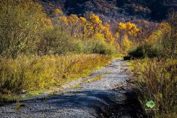 A gravel path winds through a vibrant autumn forest with golden and orange foliage under bright sunlight. The overlaid text…